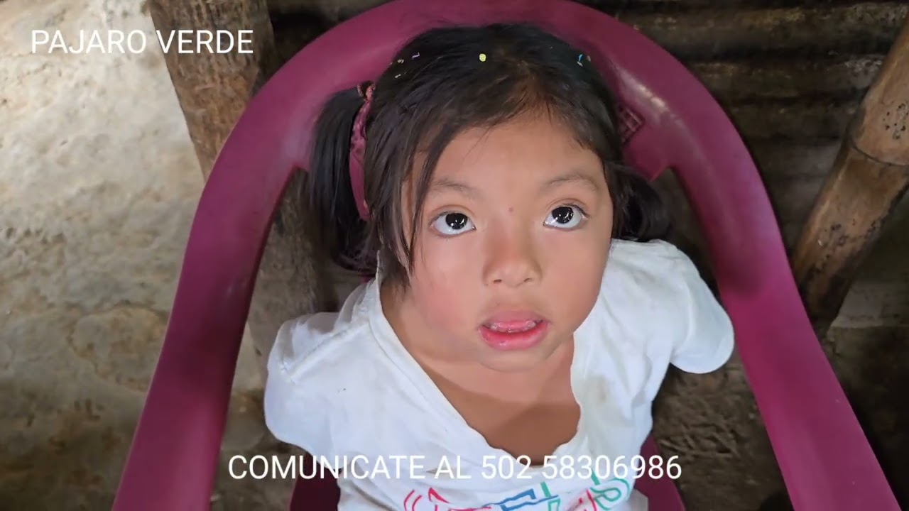 Rosita está enferma.Está muy feliz de ir a la escuela.Hector lava los trastes así ayuda ala abuelita