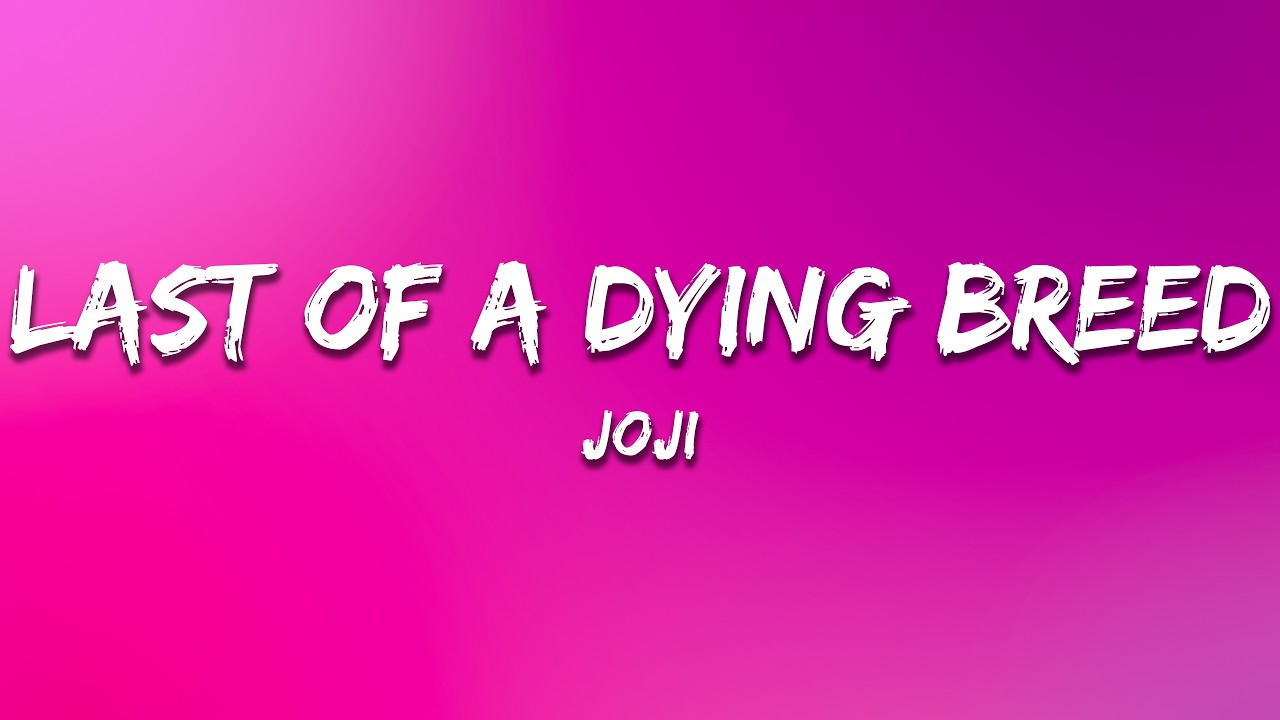 Joji - Last of a Dying Breed (Lyrics)