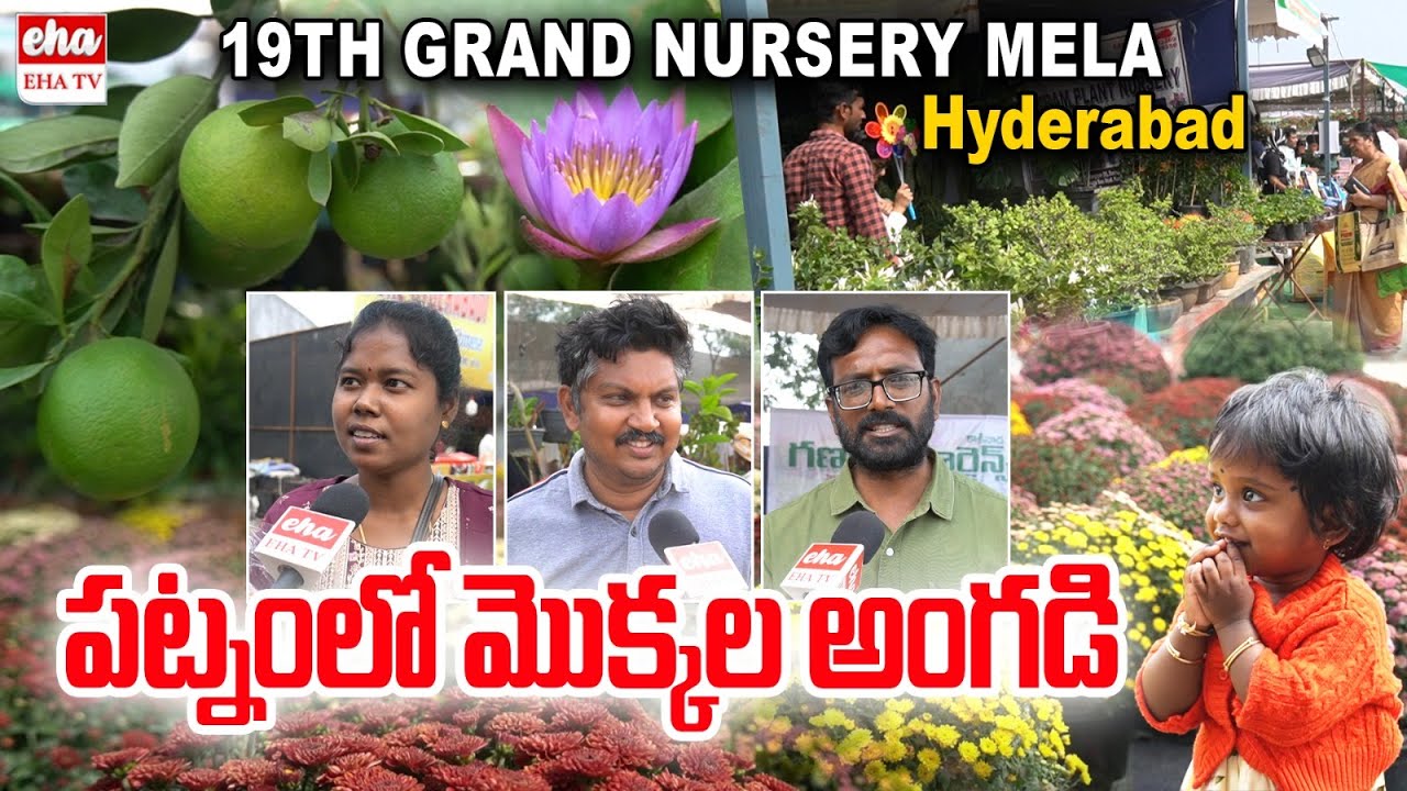 Nursery Mela At Hyderabad IMAX Grounds Showcases Wide Variety of Flower , Fruit Plants | EHA TV