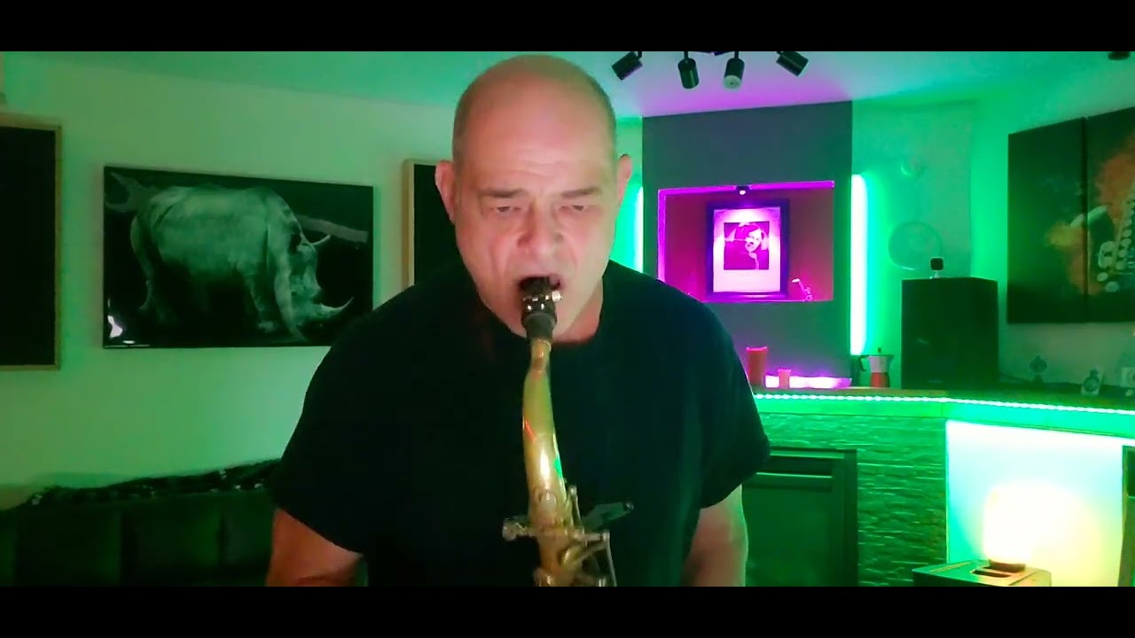 'Sweet Home Chicago' Blues Brothers sax cover😎🎷