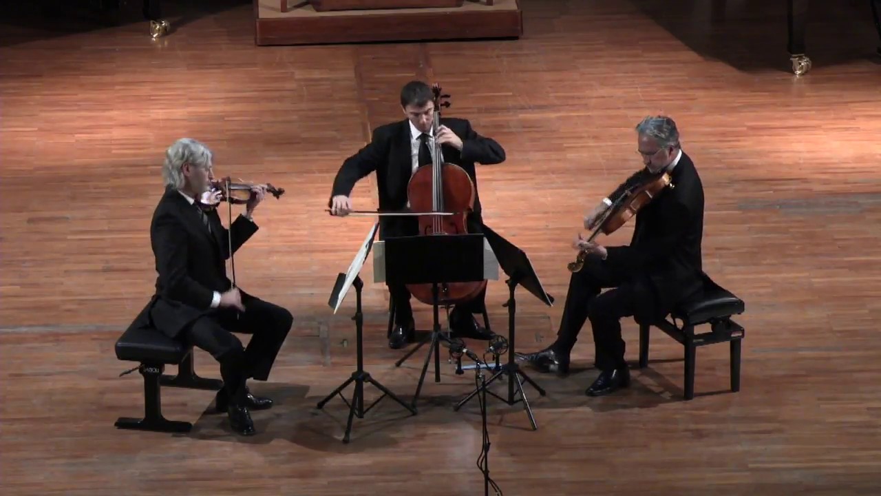 Nuovo Trio Italiano d'Archi in concert