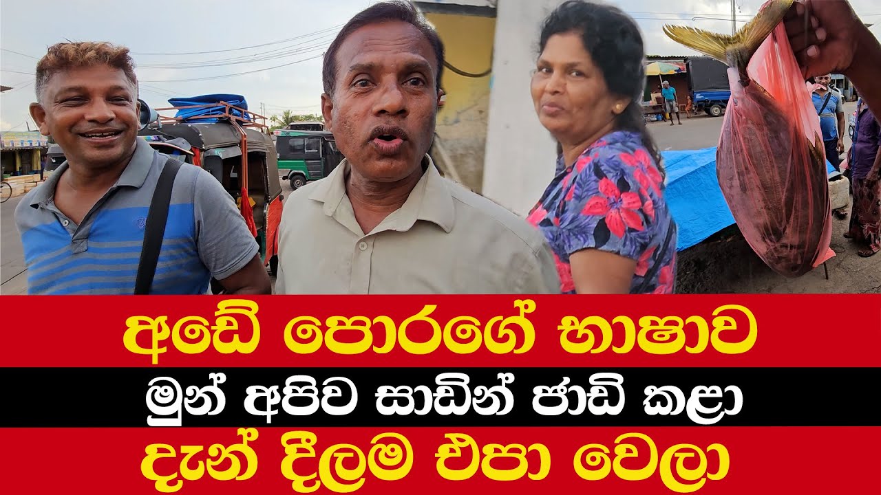 අඩේ පොරගේ භාෂාව | මුන් අපිව සාඩින් ජාඩි කළා | දැන් දීලම එපා වෙලා