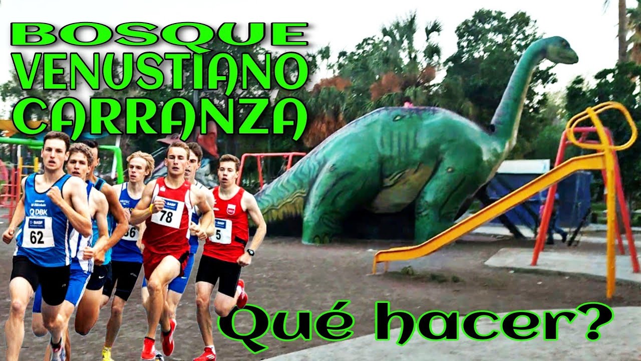 QUE HACER EN EL BOSQUE VENUSTIANO CARRANZA DE TORREÓN COAH?