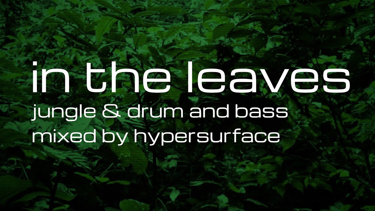 in the leaves (all vinyl jungle/dnb mix)