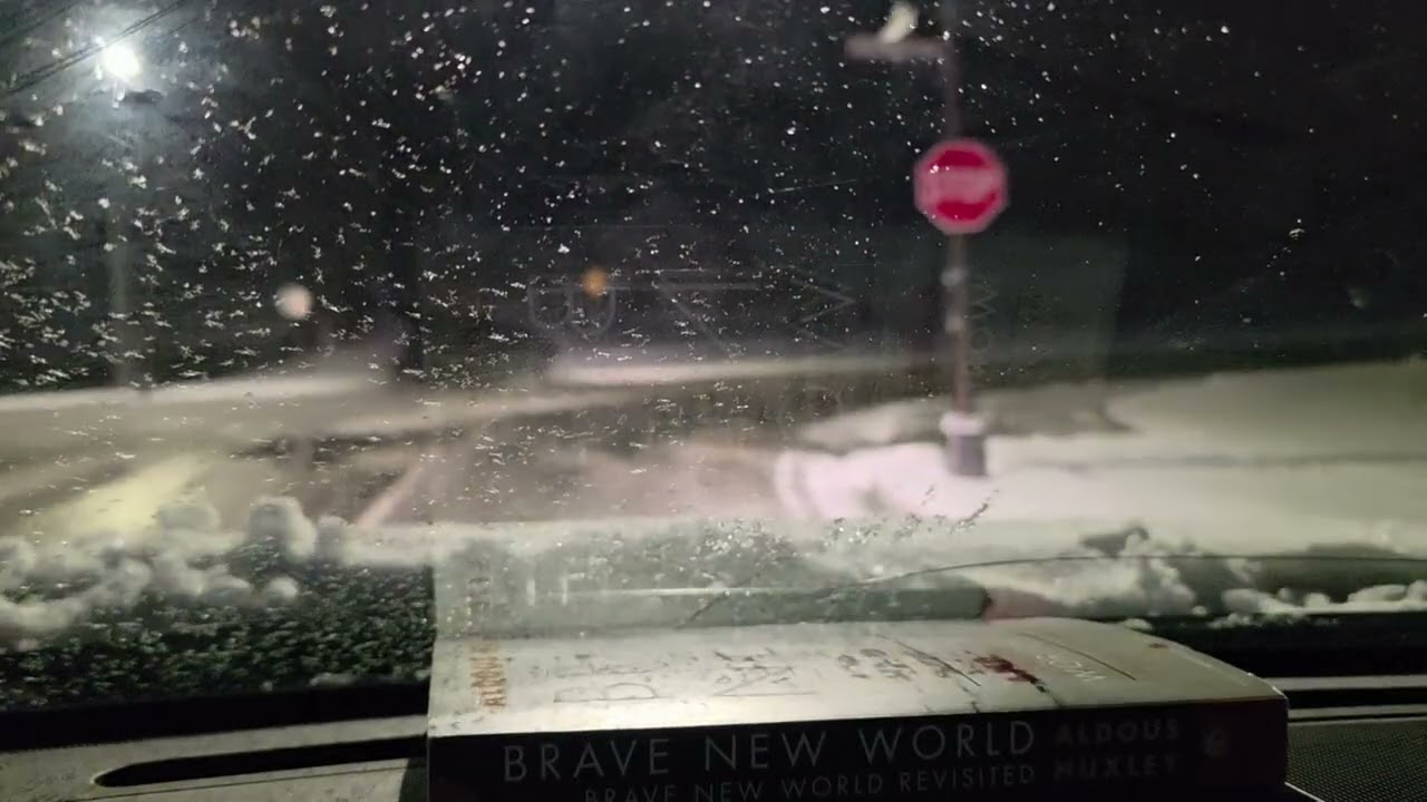 Day 61. After Blizzard 