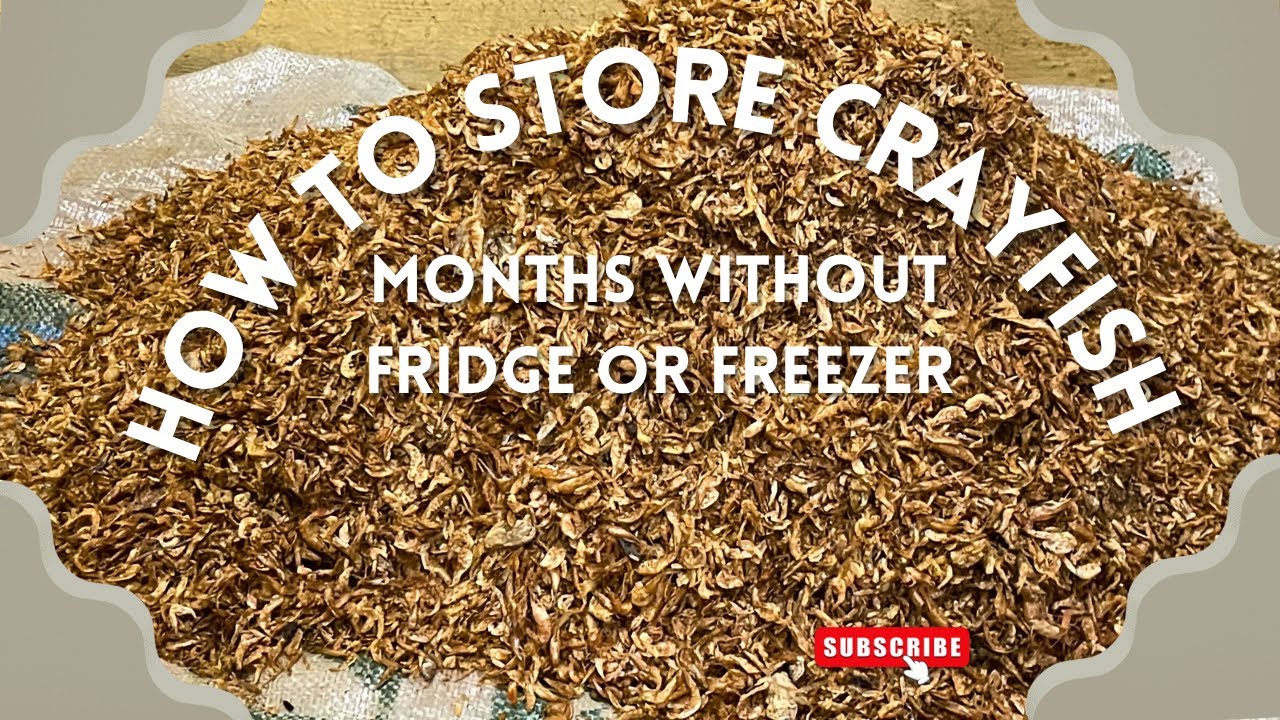 How To Store Crayfish For Months Without Fridge or Freezer 
