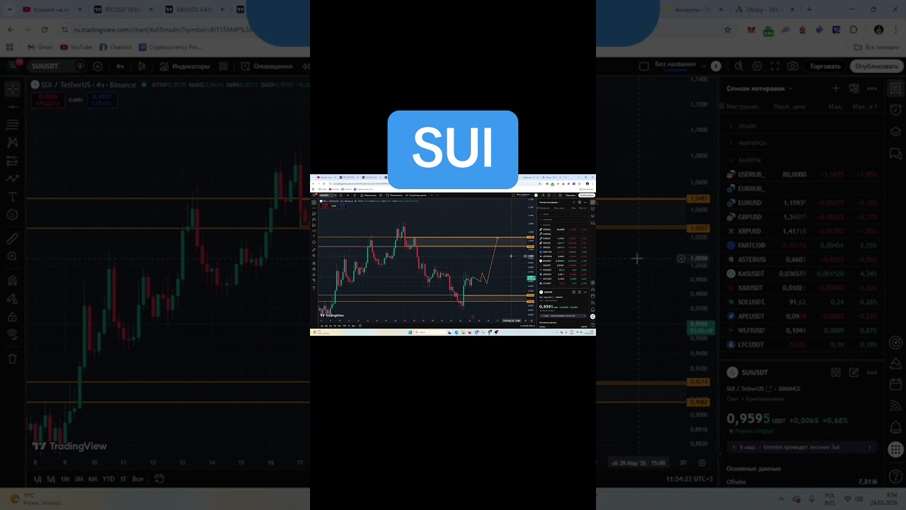 Sui обзор