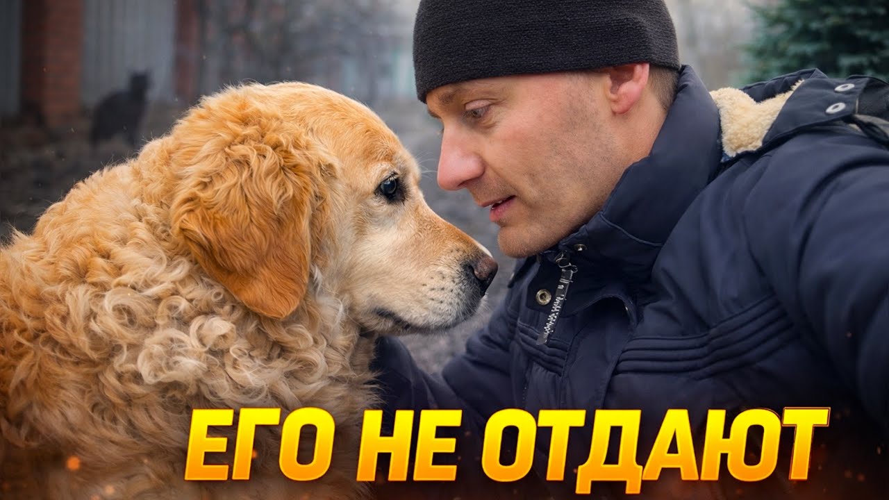 ВСЕ ПИШУТ, ЧТО МЫ БРОСИЛИ РИЧАРДА… Я НЕ СПАЛ ВСЮ НОЧЬ. ВСЯ ПРАВДА