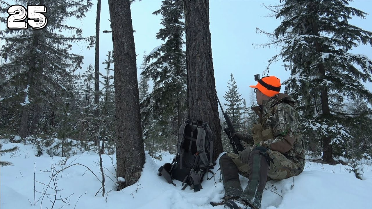 The First Red Squirrel Hunt! | Winter Cabin Camping