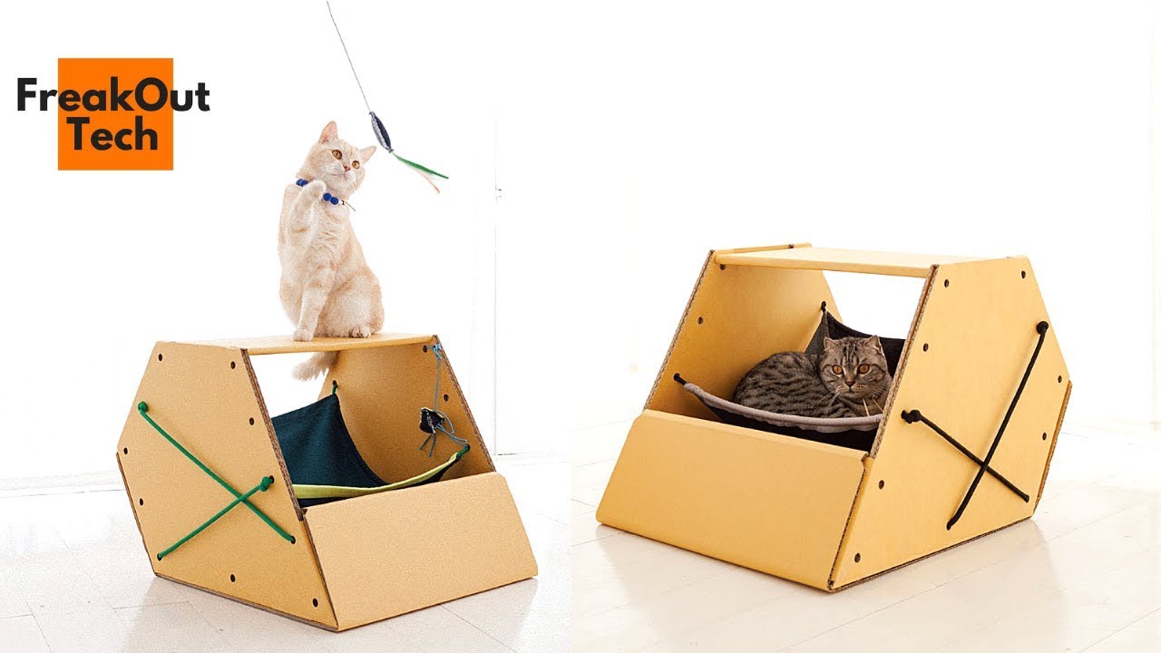 5 Incredible Cat Inventions You Never Knew About