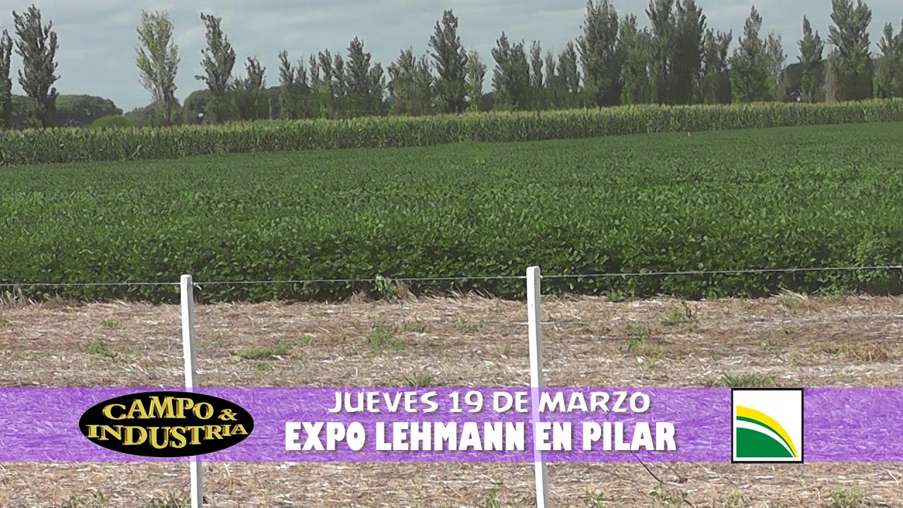 CAMPO INDUSTRIA 12 3 2026