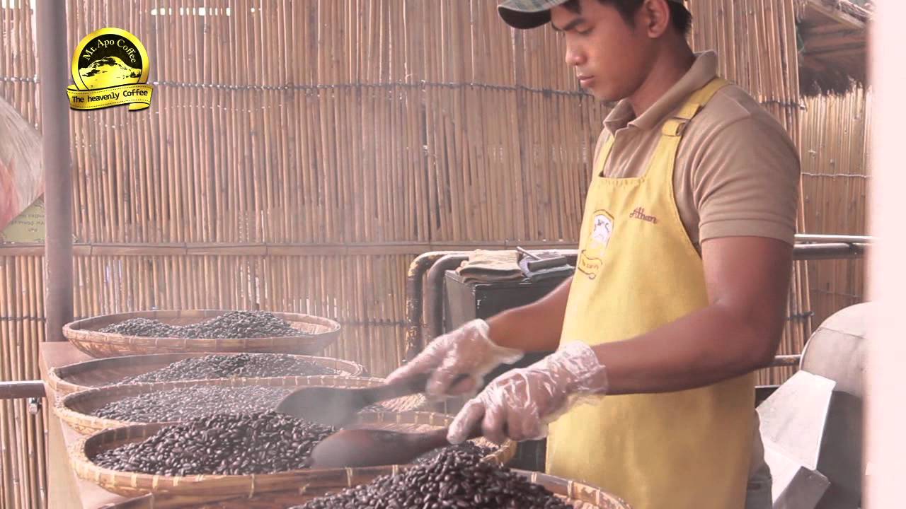 Mt. Apo Civet Coffee