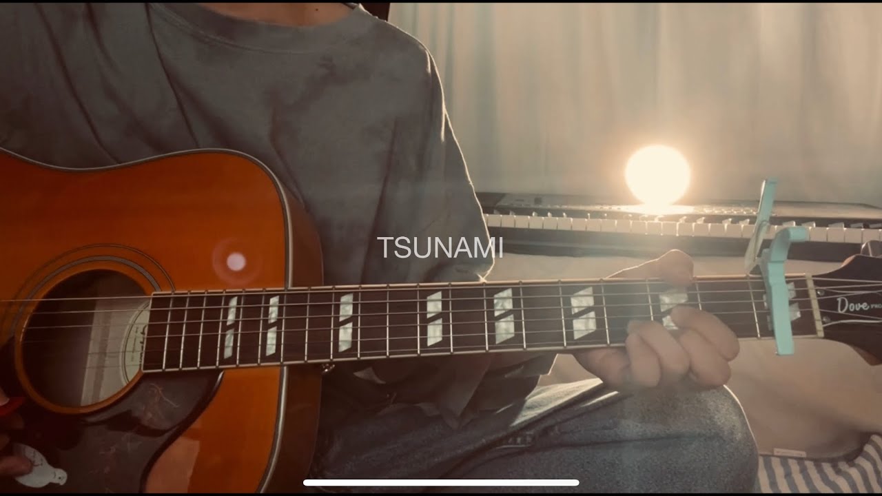 TSUNAMI/サザンオールスターズ 弾き語りcover