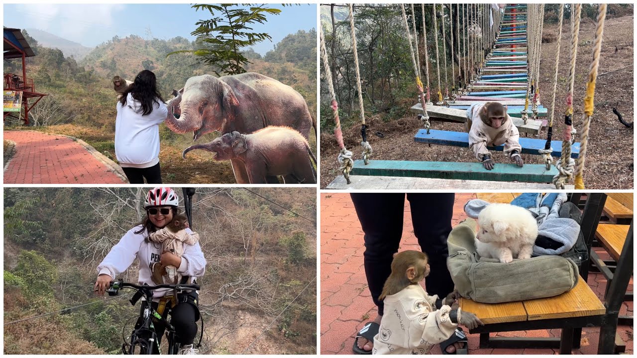 Dharan ko ghumnai parne thau 😍 secha adventure park 😱😱 yeti ramailo thau rahex bafre 😱😱
