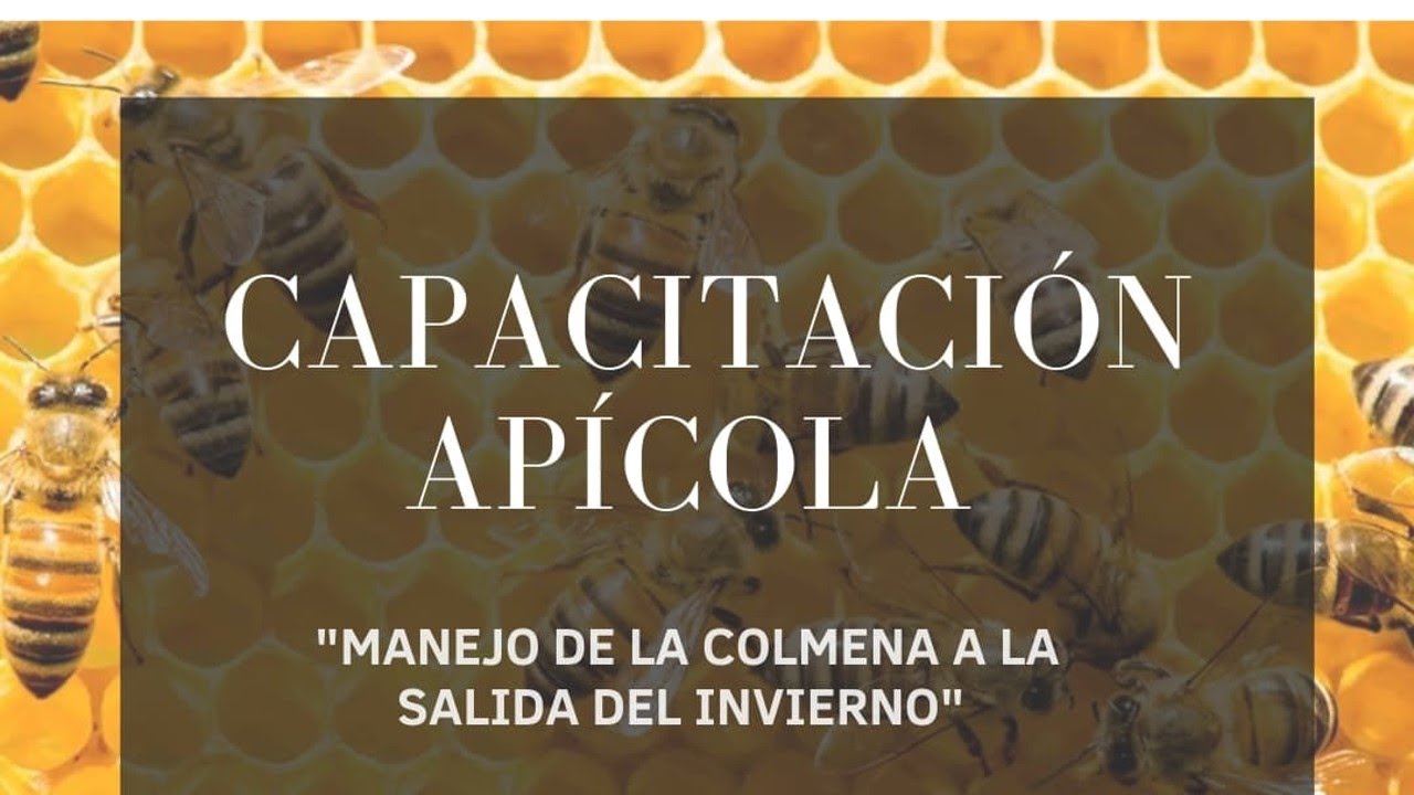 Capacitación Apícola: 