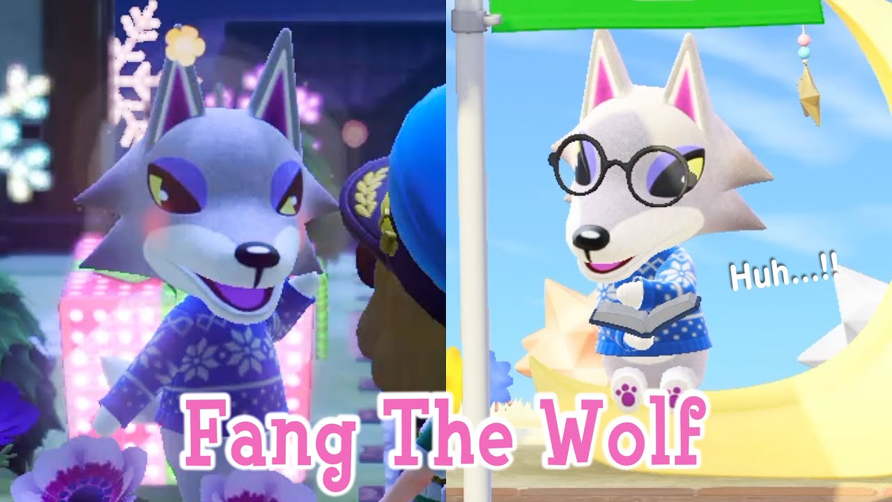 Fang The Wolf Cranky Villager Animal Crossing New Horizons ACNH