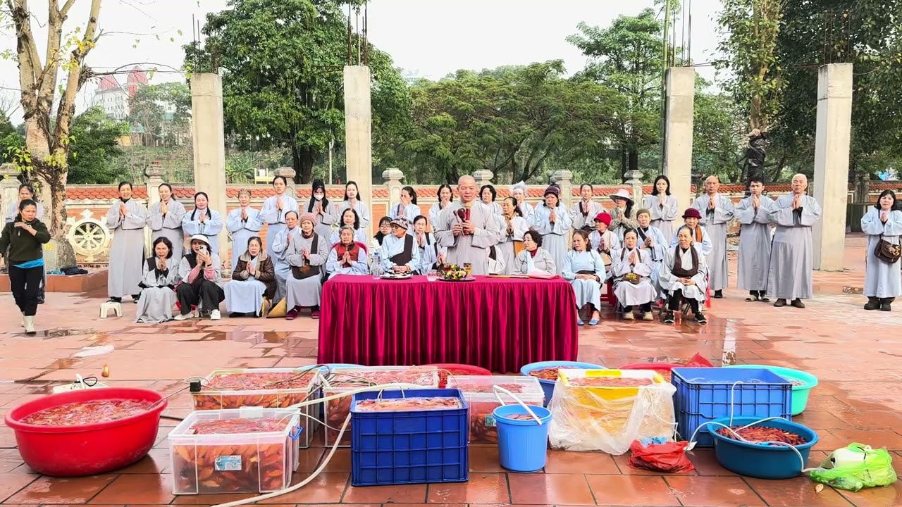 KHOÁ LỄ PHÓNG SINH GIẢI CỨU CHIỀU NGÀY 23/CHẠP 
