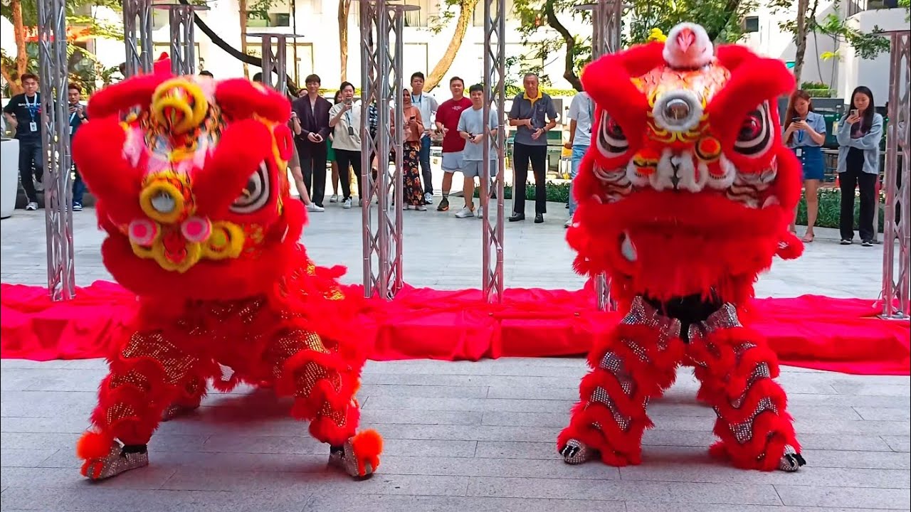 Lion Dance — roar, leap, conquer. 🦁🔥