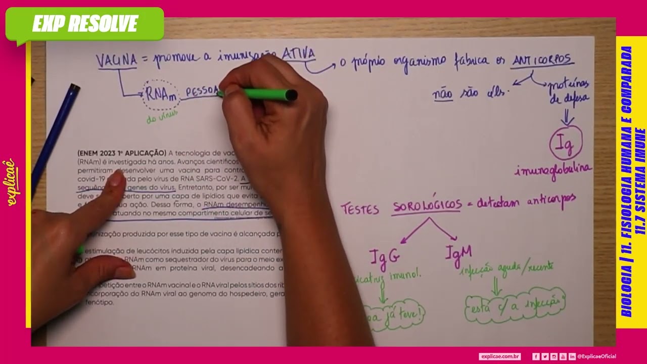 A TECNOLOGIA DE VACINAS DE RNA MENSAGEIRO (RNAm) É INVESTIGADA HÁ ANOS. (...) | SISTEMA IMUNE