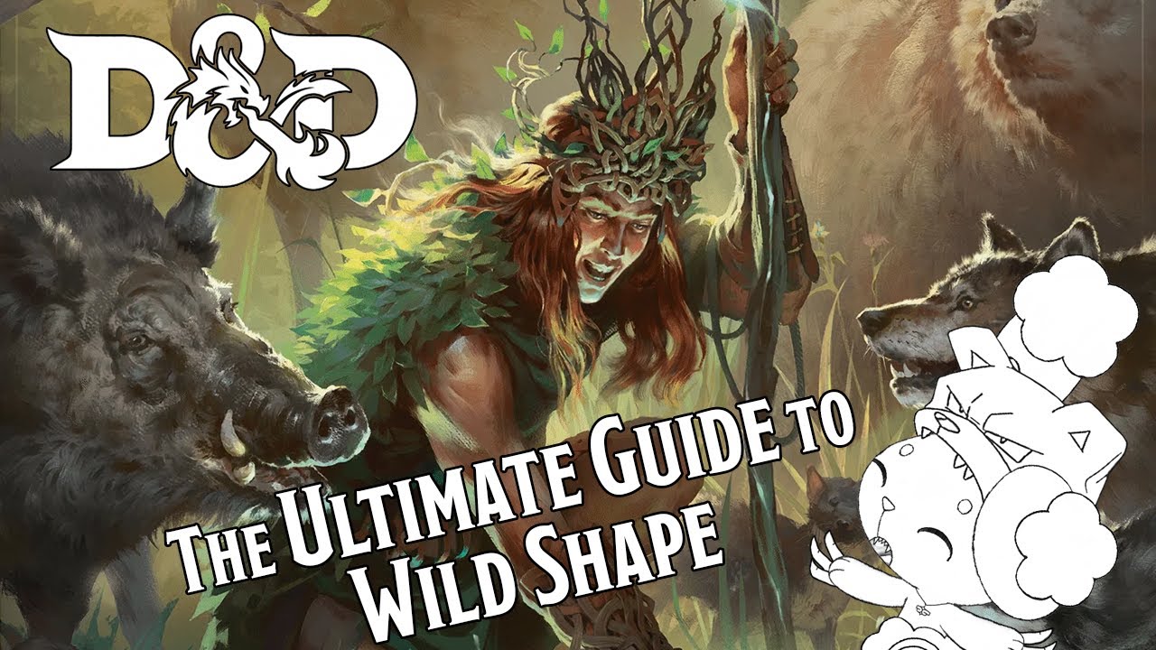D&D 2024: The Ultimate Guide to Moon Druids