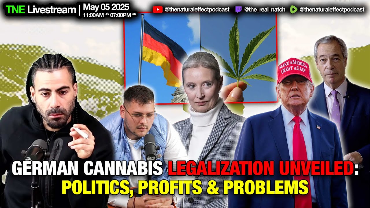 German Cannabis Legalization Unveiled: Politics, Profit & Problems | PGR Bud&nbsp;#cannabisdispensary