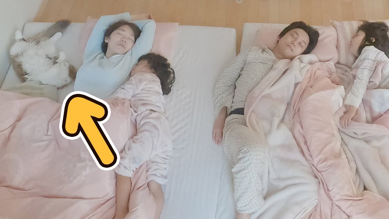 Поведение кошки во время сна семьи (Cat behavior while family is sleeping)