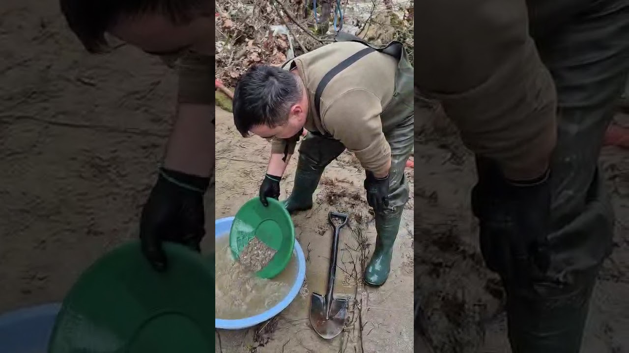 Altın Zamanı Geldi 
