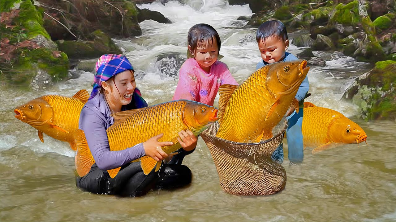 Fish in Wild: Finding, Trapping and Catching. Chuc Duong Family Fishing Day After Day | Village Life