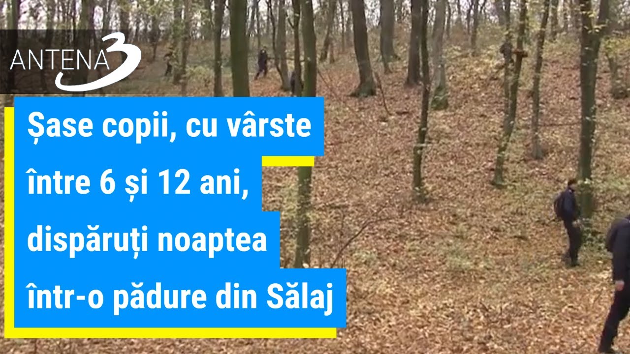 Șase copii, cu vârste între 6 și 12 ani, dispăruți noaptea într-o pădure din Sălaj