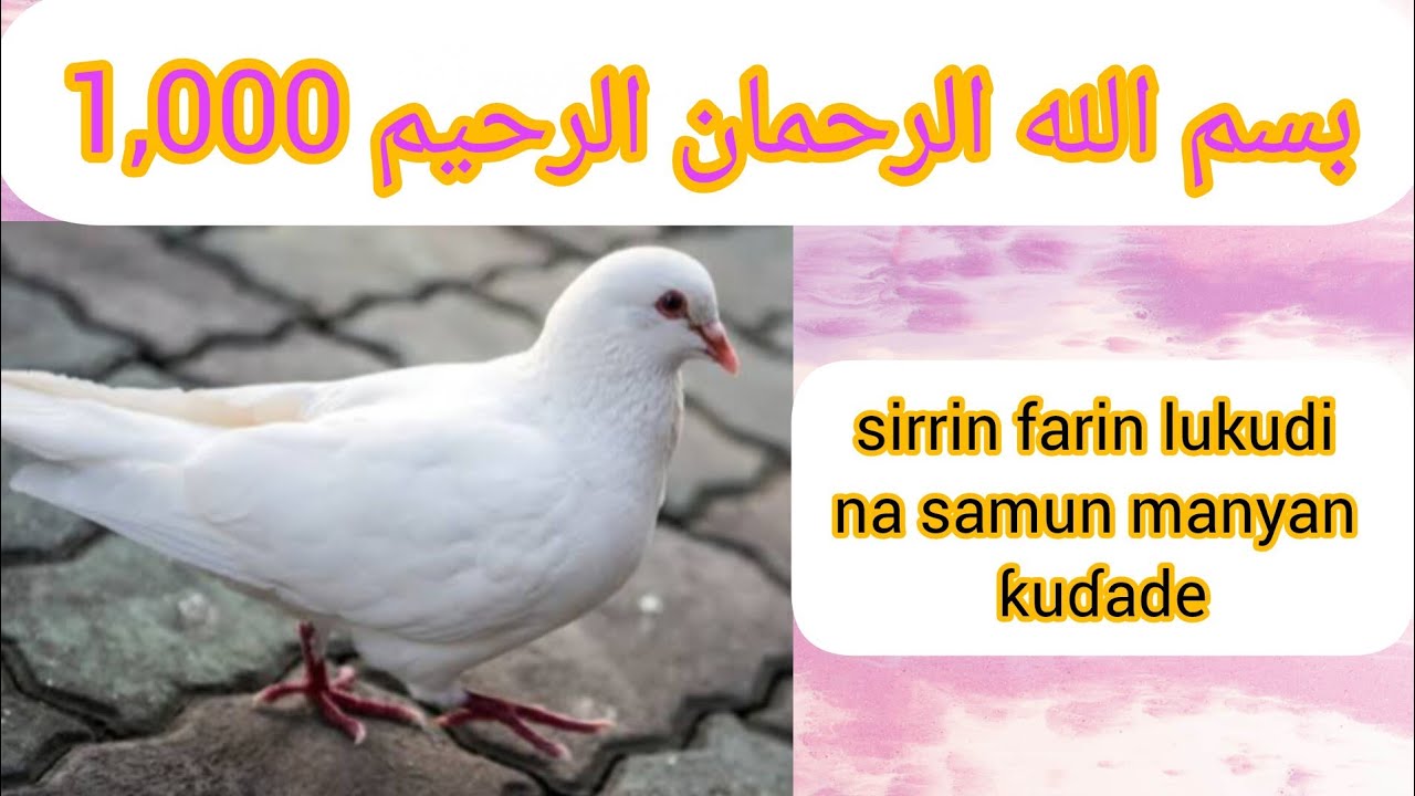 Sirrin farin lukudi na samun manyan kuɗaɗe cikin yardar Allah 