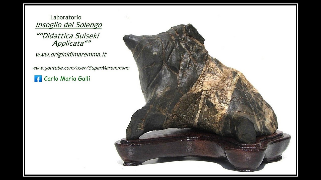 Suiseki, LA MIA  COLLEZIONE completa ,la mia storia, 1995-2019