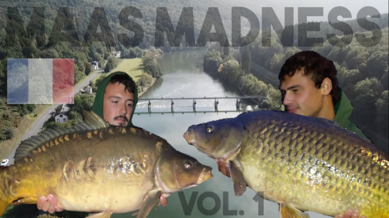 Ловля карпа на РЕКЕ "Maas Madness Vol. 1"