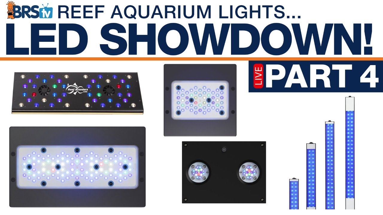 BRStv's Reef Tank Lighting Showdown (Finale): Hydra 32, Radion XR15 & XR30, Photon24, LumiLite PRO