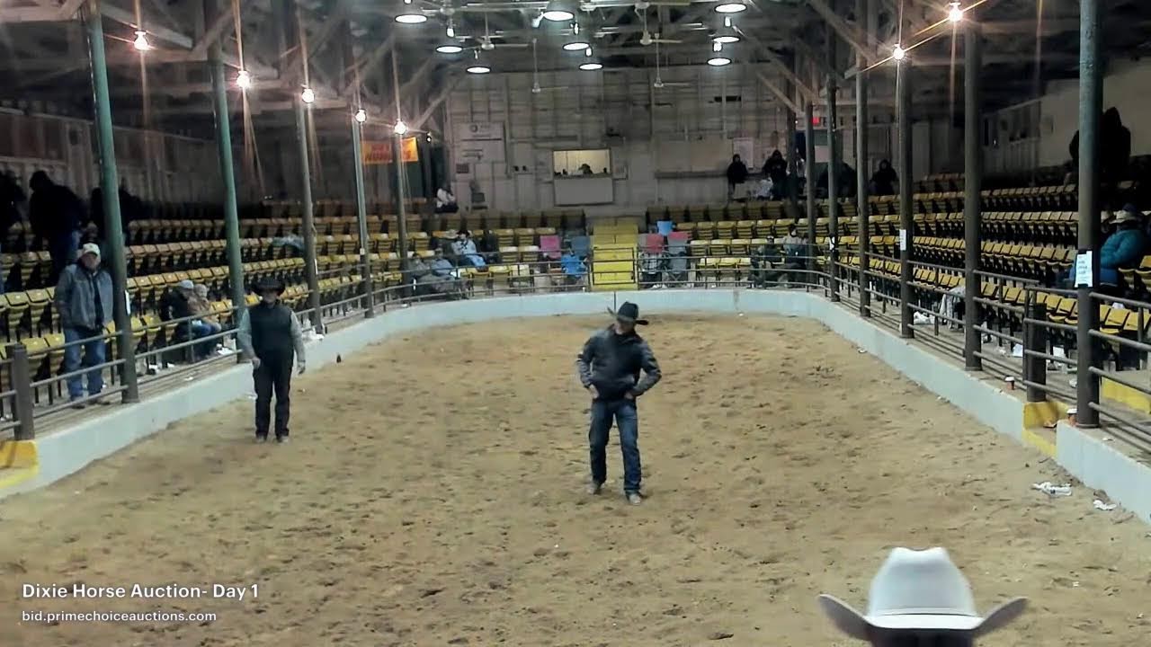 Dixie Horse Auction- Day 1