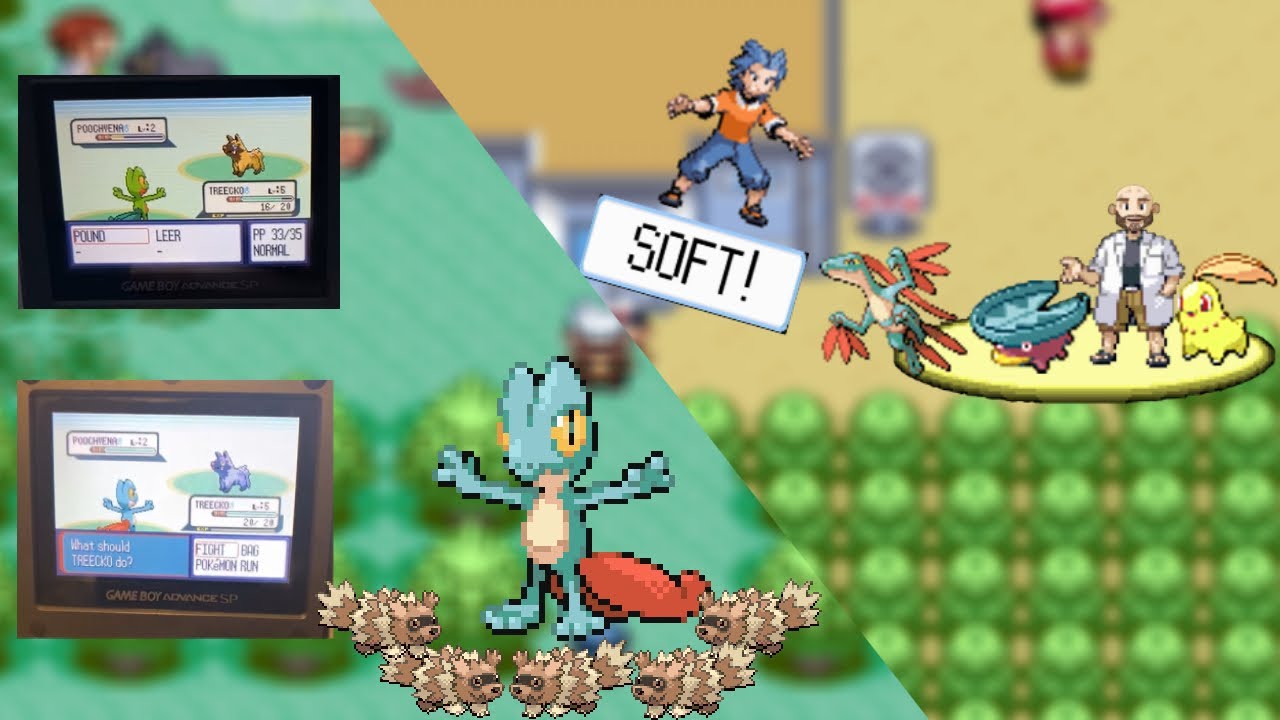 INTRODUCING MY 1ST SHINY DTQ | Shiny Treecko 8149 Resets (2023) | Early-game Journey | Ruby DTQ #1