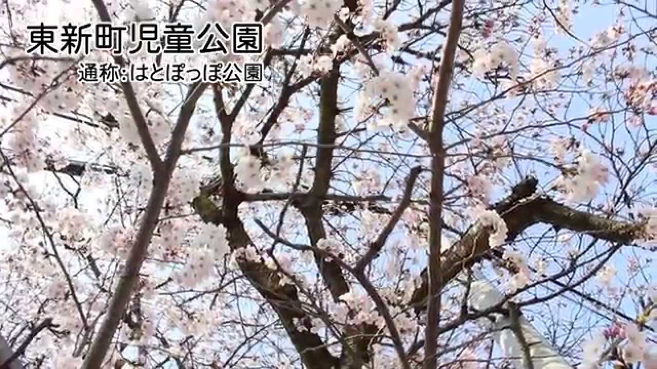 生駒の日常（生駒駅）