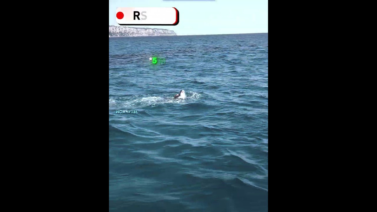 Ronaldo's Surfing Skills 😯