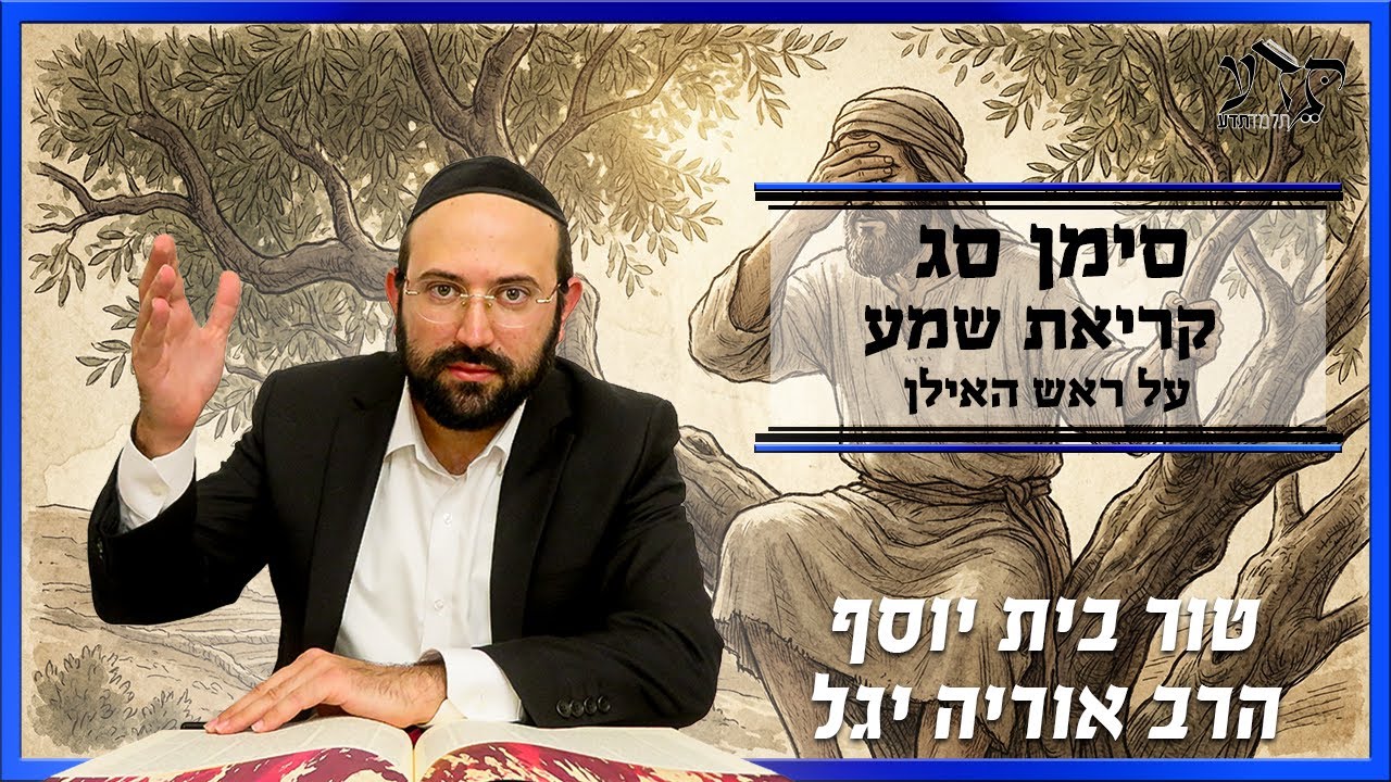 טור בית יוסף אורח חיים סימן סג על ראש האילן| הרב אוריה יגל