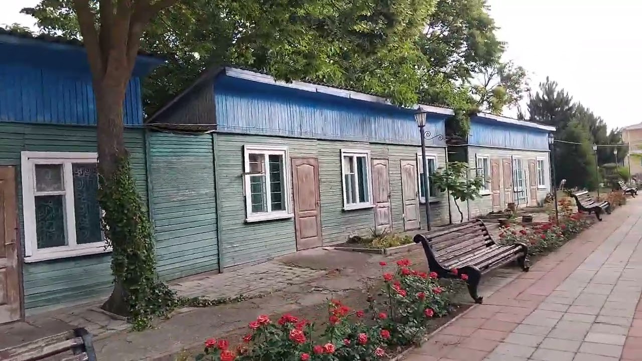 Грибовка, Золотой Колос, (21.06.2025, часть 1)