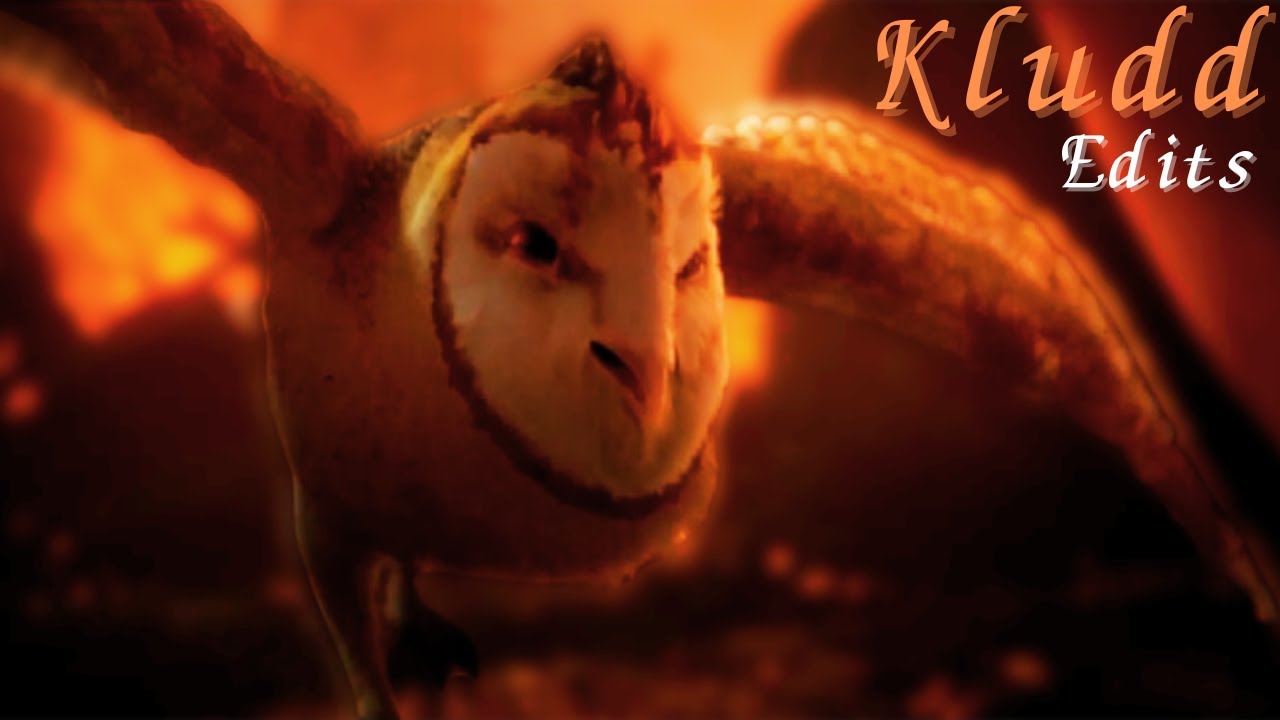 Legend Of The Guardians Kludd Edits