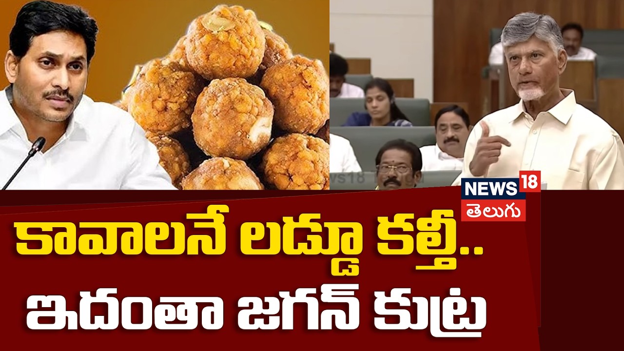 CM Chandrababu naidu | కావాలనే లడ్డూ కల్తీ.. ఇదంతా జగన్ కుట్ర | AP Assembly | N18V