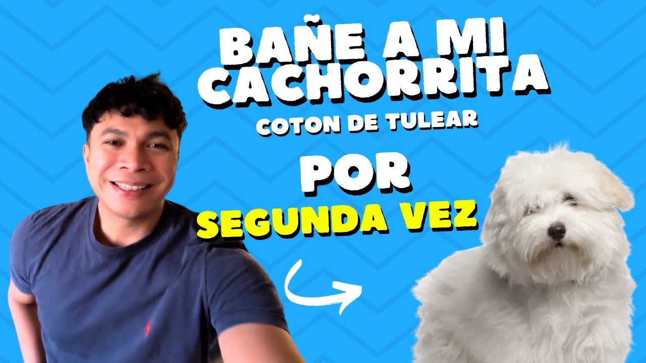 Vlogsito con MI PERRITA🇺🇸, le di su SEGUNDO baño en EL SALVADOR 🇸🇻 