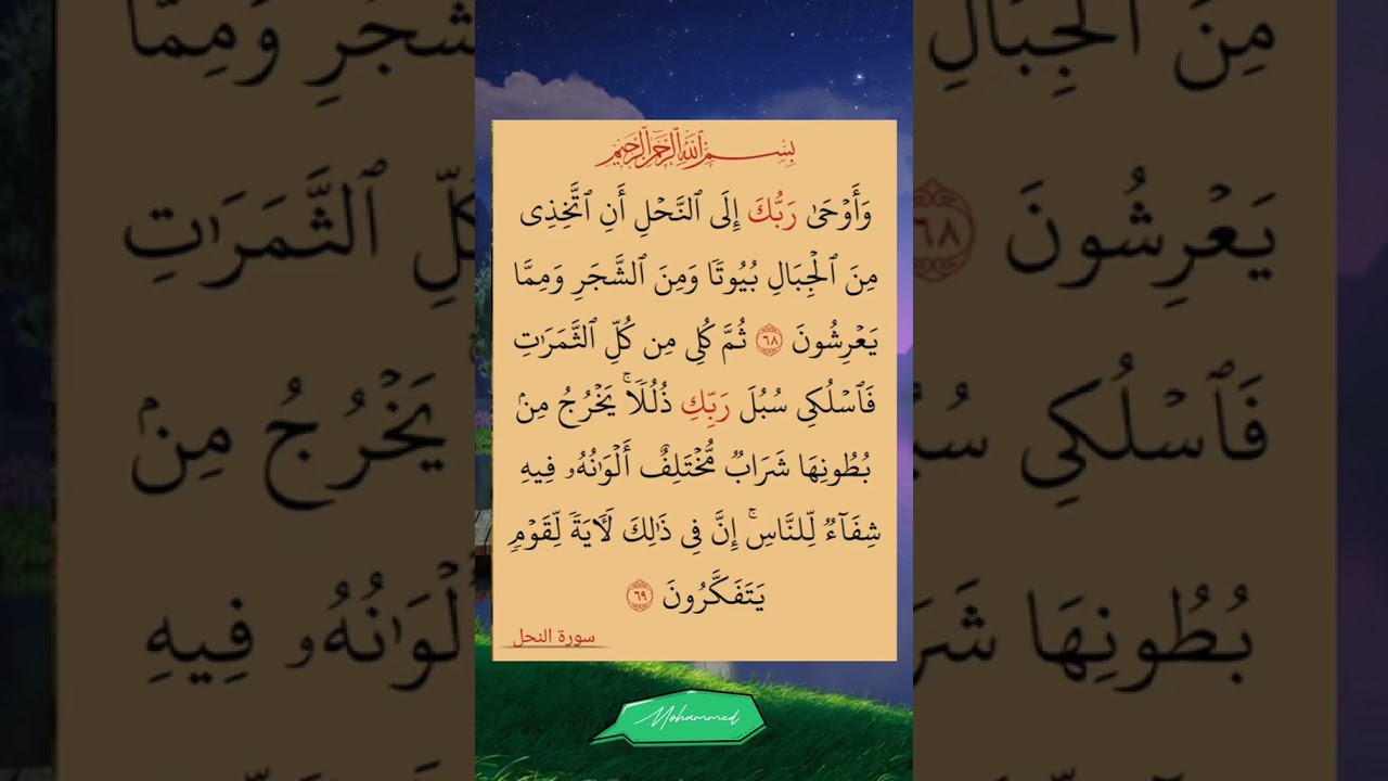 وأوحى ربك إلى النحل 🐝 أن اتخدي من ⛰️ الجبال بيوتا
