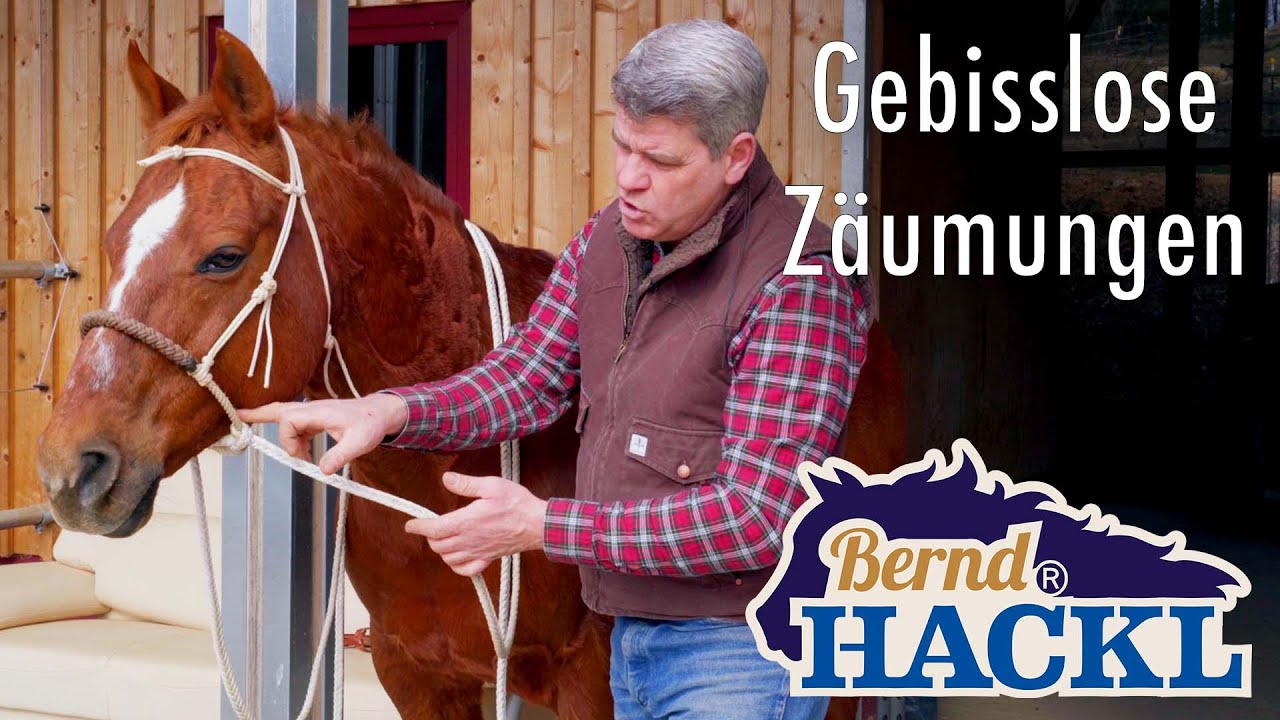 Различные безтрензельные уздечки | Бернд Хакль объясняет! 🐴