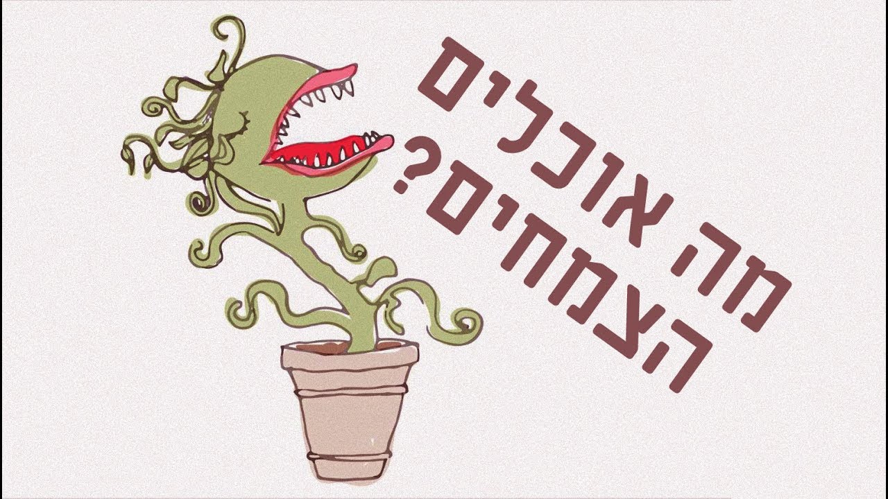ממה נוצרים העצים?