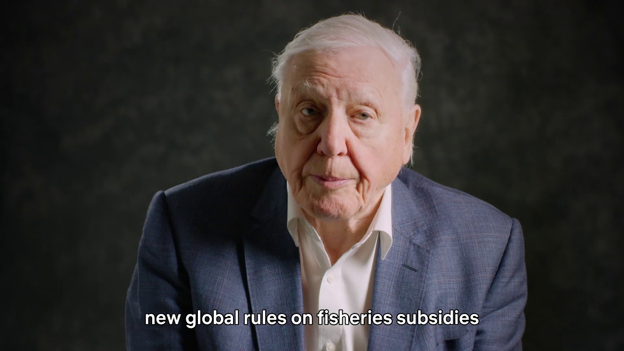 Sir David Attenborough explains why we need a new global deal to protect our oceans