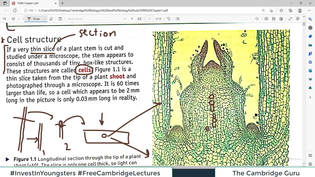 Chp#1 CELLS (Part1) | 5090 Cambridge O Level Biology | Hodders Biology | The Cambridge Guru