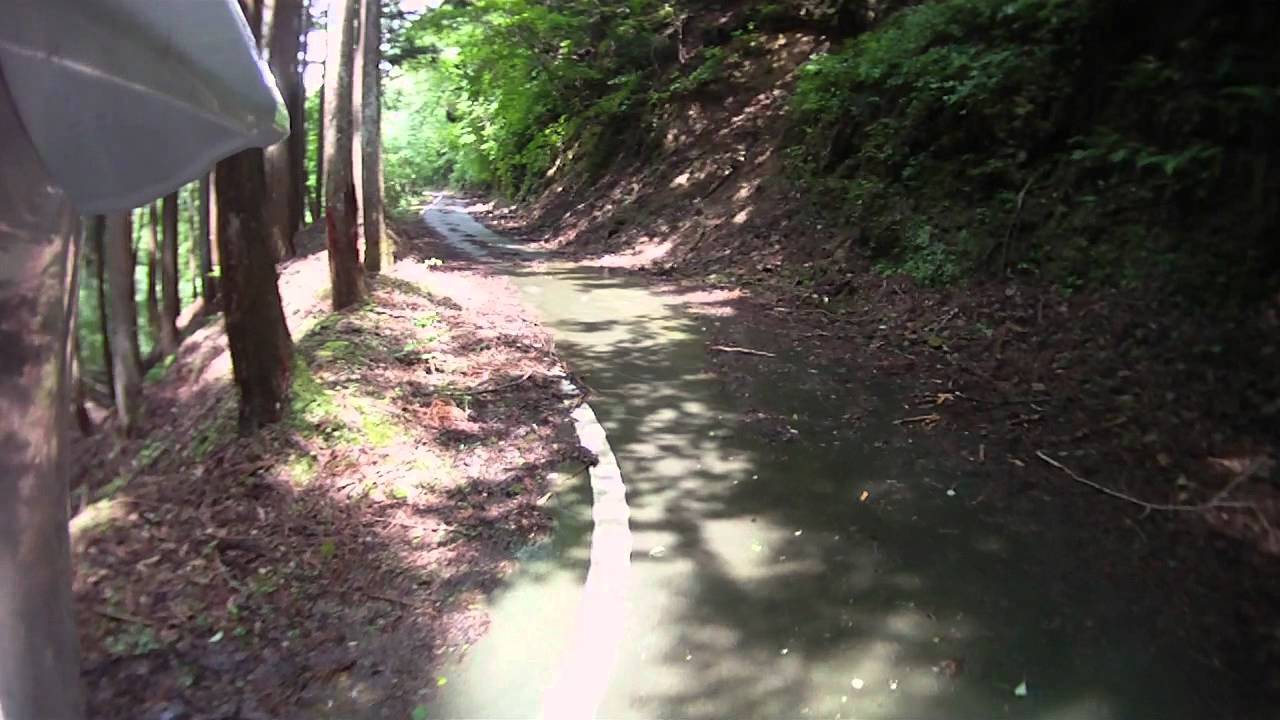 八丁林道　八丁橋～八丁峠