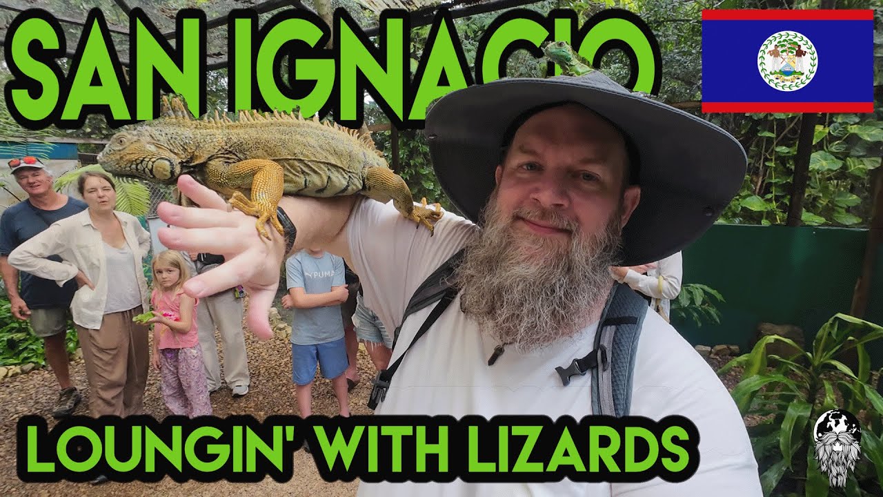 San Ignacio Adventures Mayan Ruins & Iguanas Up Close! 🇧🇿