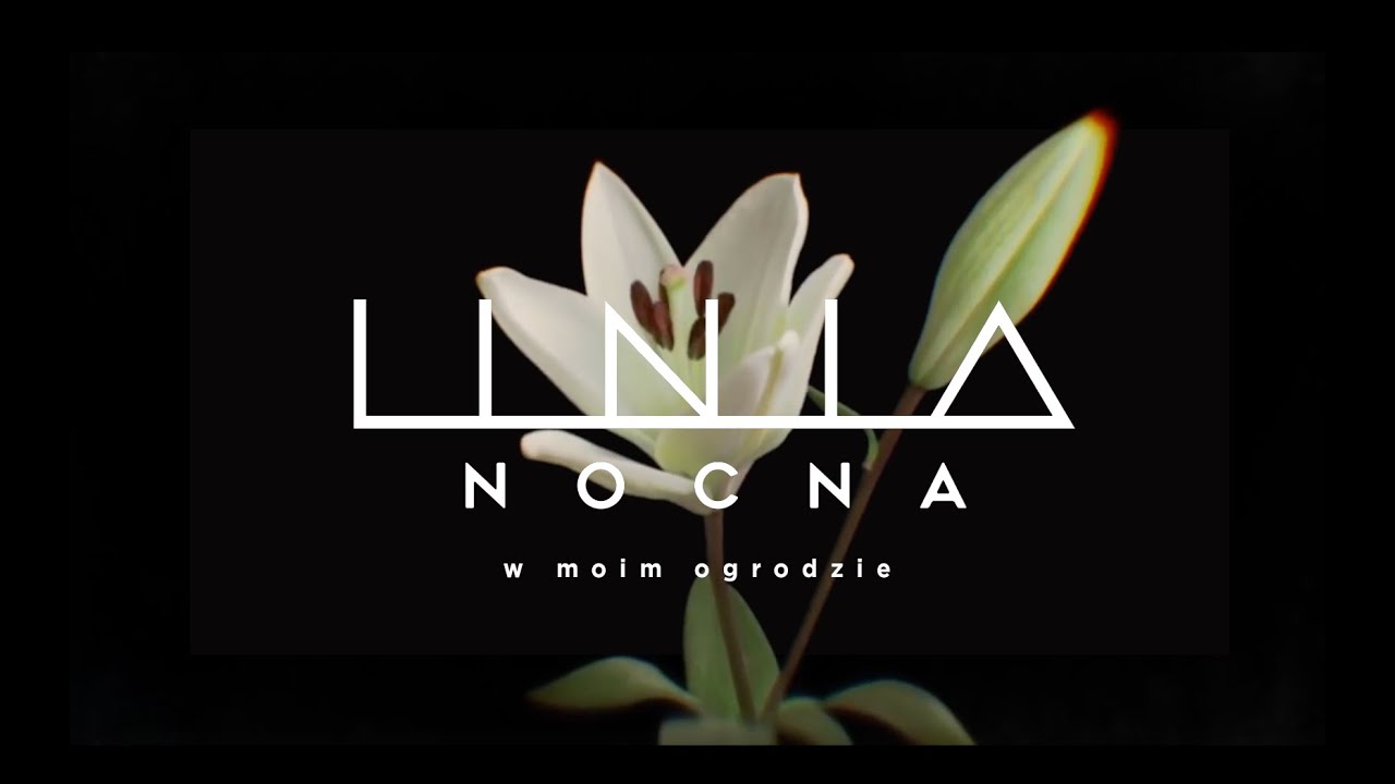 Linia Nocna - W moim ogrodzie | DAAB Cover